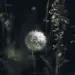 Filigrane Pusteblume vor dunklem Hintergrund mit geheimnisvoller Lichtstimmung